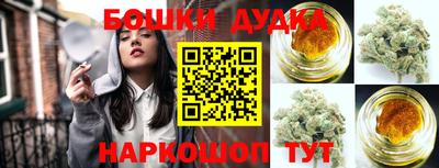гидра Рузаевка