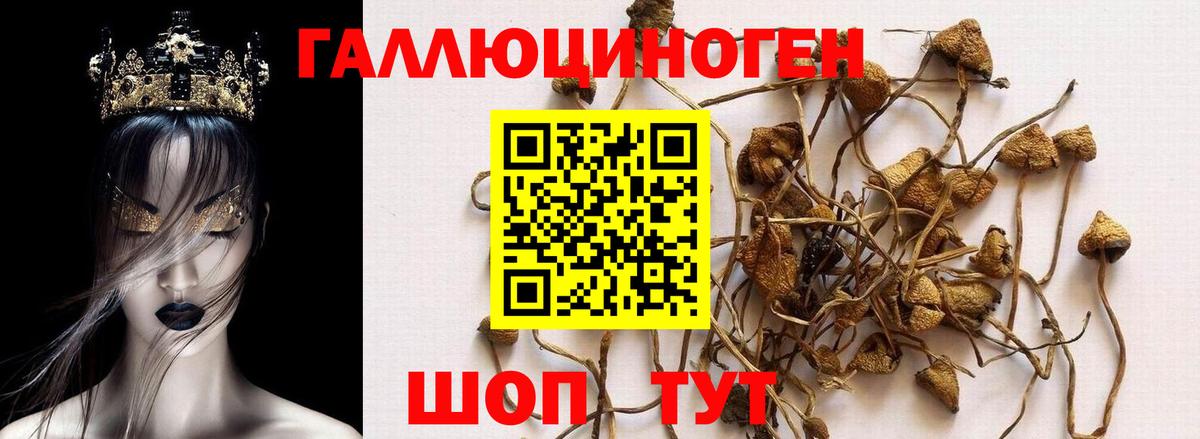 Нижнекамск  Галлюциногенные грибы мицелий  Вход с VPN 